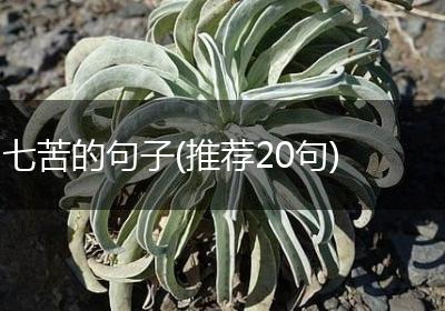 七苦的句子(推荐20句)