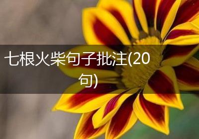 七根火柴句子批注(20句)