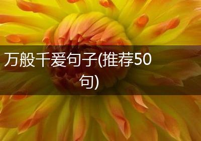 万般千爰句子(推荐50句)