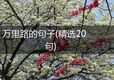 万里路的句子(精选20句)