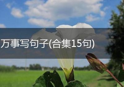 万事写句子(合集15句)
