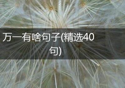 万一有啥句子(精选40句)