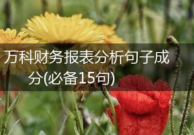 万科财务报表分析句子成分(必备15句)