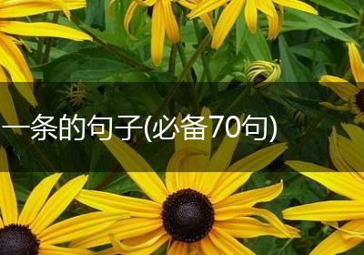 一条的句子(必备70句)