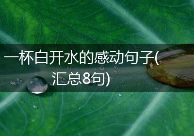 一杯白开水的感动句子(汇总8句)