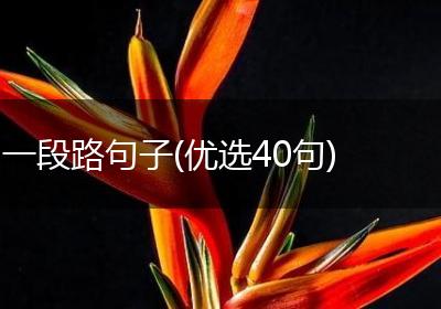 一段路句子(优选40句)