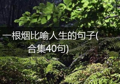 一根烟比喻人生的句子(合集40句)