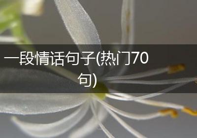 一段情话句子(热门70句)