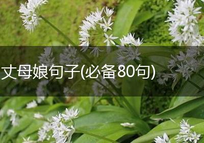 丈母娘句子(必备80句)