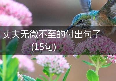 丈夫无微不至的付出句子(15句)