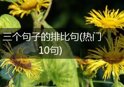 三个句子的排比句(热门10句)