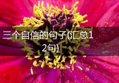 三个自信的句子(汇总12句)