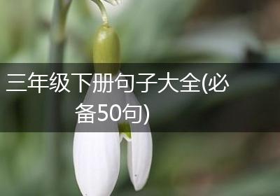 三年级下册句子大全(必备50句)