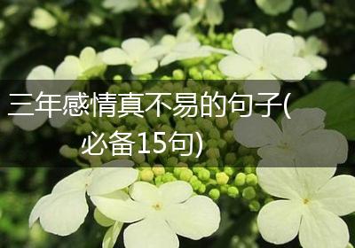 三年感情真不易的句子(必备15句)