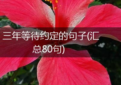 三年等待约定的句子(汇总80句)
