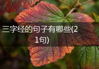 三字经的句子有哪些(21句)