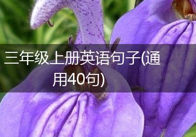 三年级上册英语句子(通用40句)