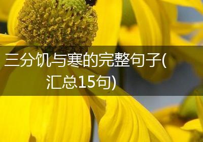 三分饥与寒的完整句子(汇总15句)