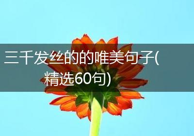 三千发丝的的唯美句子(精选60句)
