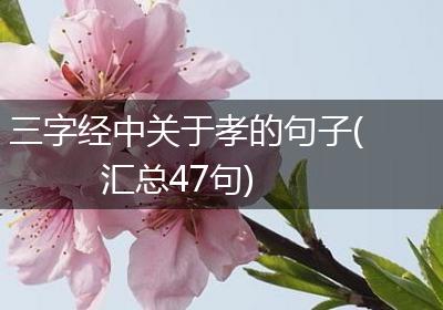 三字经中关于孝的句子(汇总47句)
