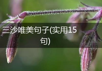 三沙唯美句子(实用15句)
