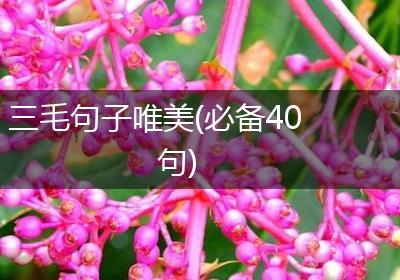 三毛句子唯美(必备40句)