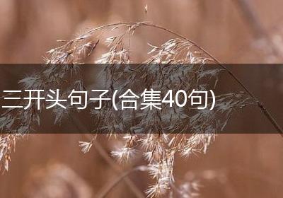 三开头句子(合集40句)