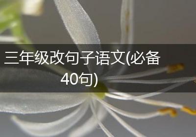 三年级改句子语文(必备40句)