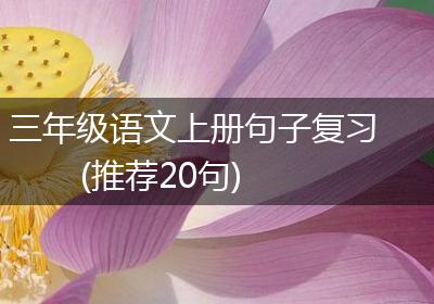 三年级语文上册句子复习(推荐20句)