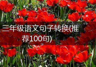 三年级语文句子转换(推荐100句)
