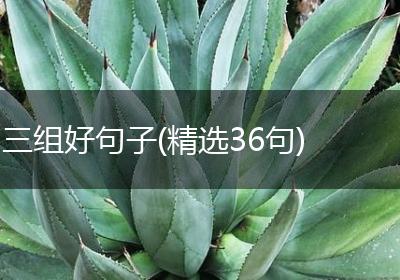 三组好句子(精选36句)
