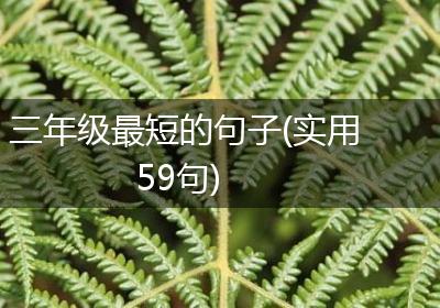 三年级最短的句子(实用59句)