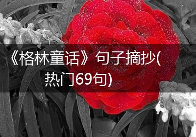 《格林童话》句子摘抄(热门69句)