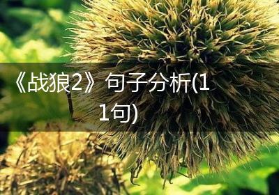 《战狼2》句子分析(11句)