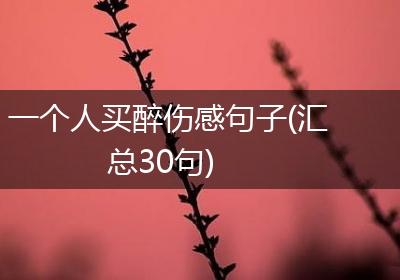 一个人买醉伤感句子(汇总30句)