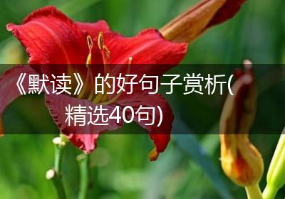 《默读》的好句子赏析(精选40句)