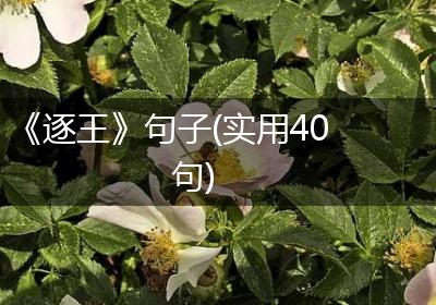 《逐王》句子(实用40句)
