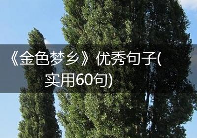《金色梦乡》优秀句子(实用60句)