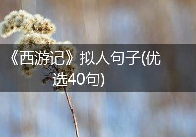 《西游记》拟人句子(优选40句)