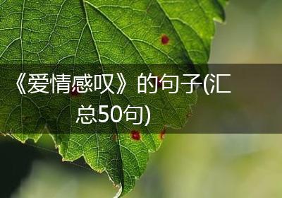 《爱情感叹》的句子(汇总50句)