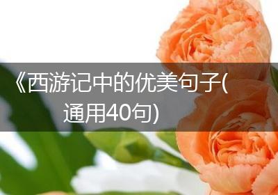 《西游记中的优美句子(通用40句)