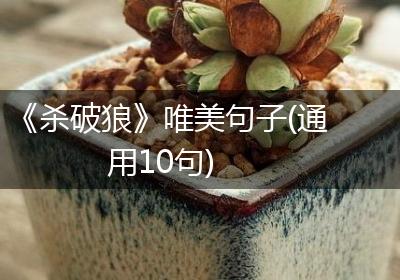 《杀破狼》唯美句子(通用10句)