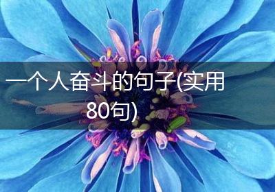 一个人奋斗的句子(实用80句)