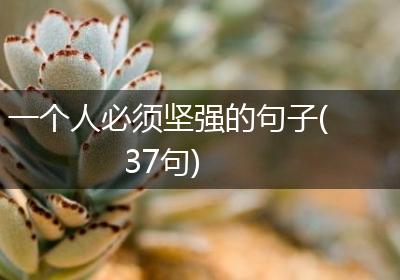 一个人必须坚强的句子(37句)