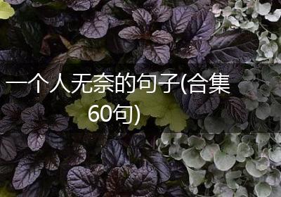 一个人无奈的句子(合集60句)