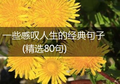 一些感叹人生的经典句子(精选80句)