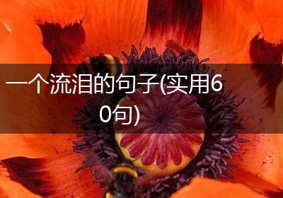 一个流泪的句子(实用60句)