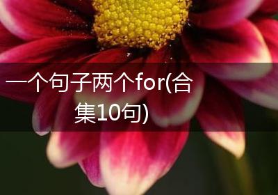 一个句子两个for(合集10句)