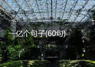 一亿个句子(60句)