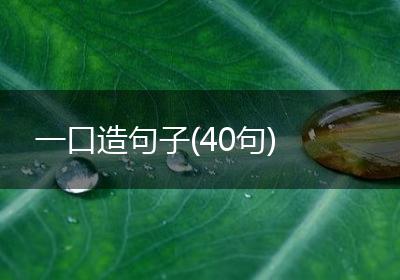 一口造句子(40句)